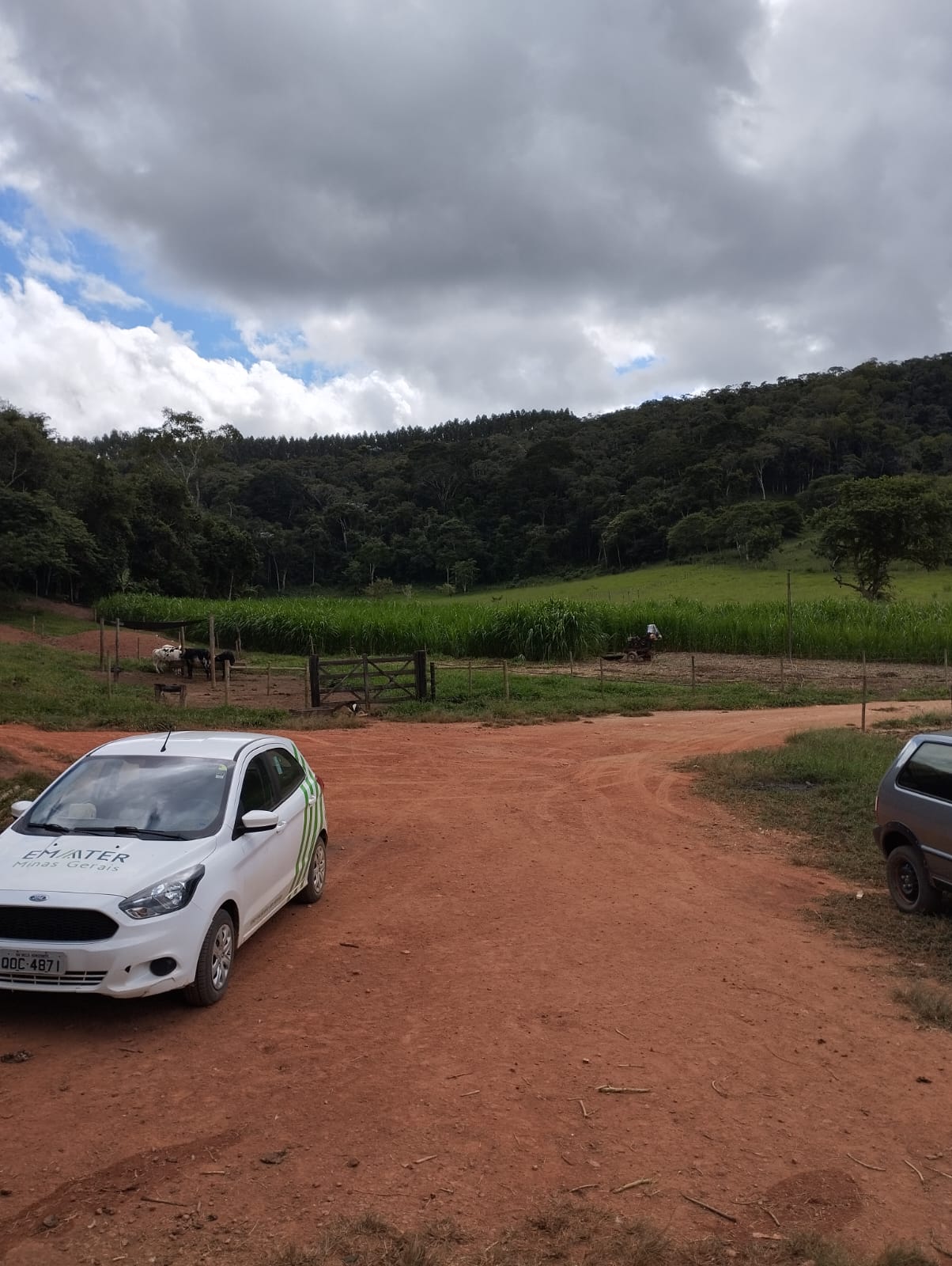 NO DIA 09 DE MAIO, A MÉDICA VETERINÁRIA DO CIDASG RE...