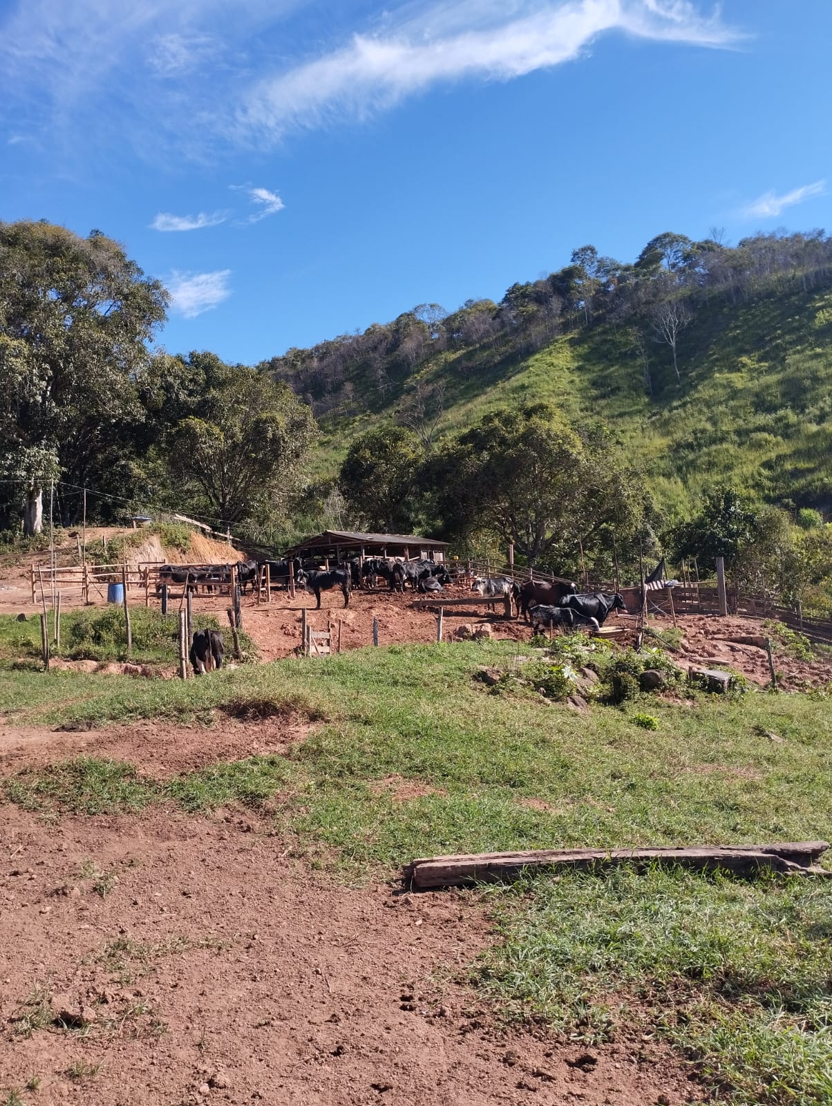VISITA A PRODUTOR DE SÃO PEDRO DO SUAÇUÍ/MG