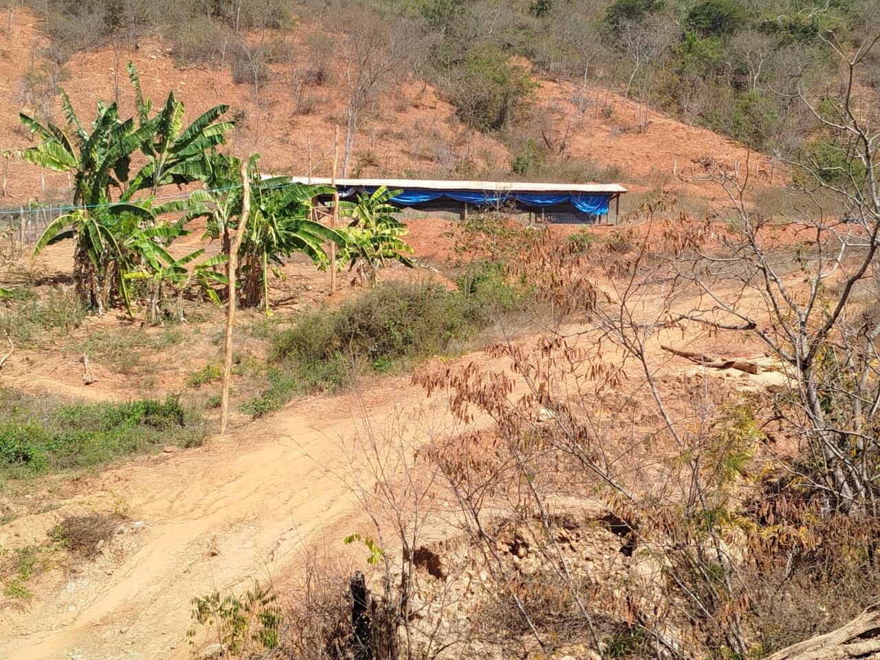 PROJETO VIDA PÓS RESGATE,COMUNIDADE QUILOMBOLA ,NO M...