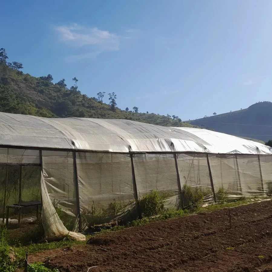 AGRICULTORES DE BAIXA QUENTE REALIZAM O PLANTIO DE 1...