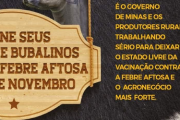 VACINE SEUS BOVINOS E BUBALINOS CONTRA A FEBRE AMARELA