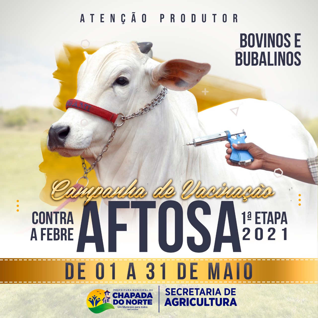 CAMPANHA DE VACINAÇÃO CONTRA A FEBRE AFTOSA