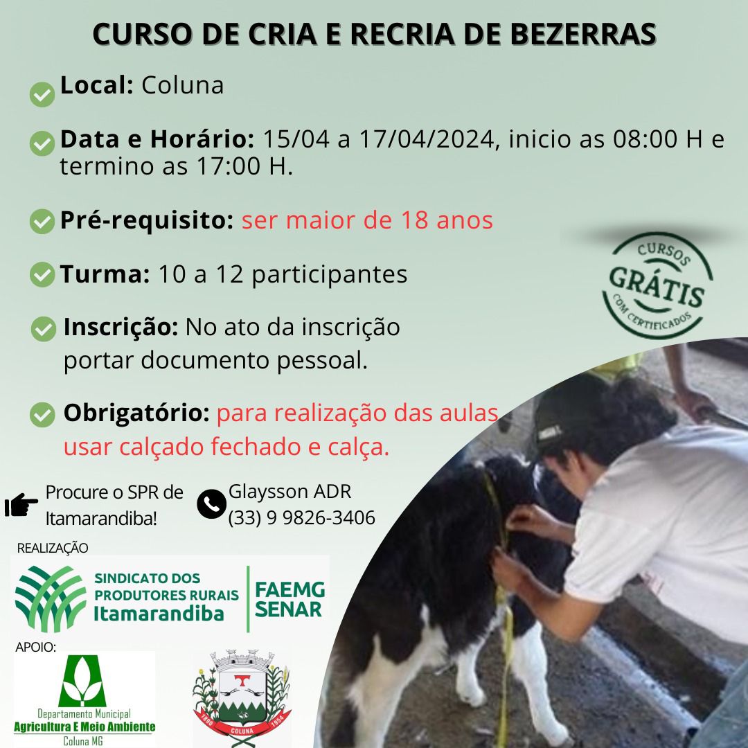 CURSO IMPERDÍVEL DE CRIA E RECRIA DE BEZERRAS, OFERT...