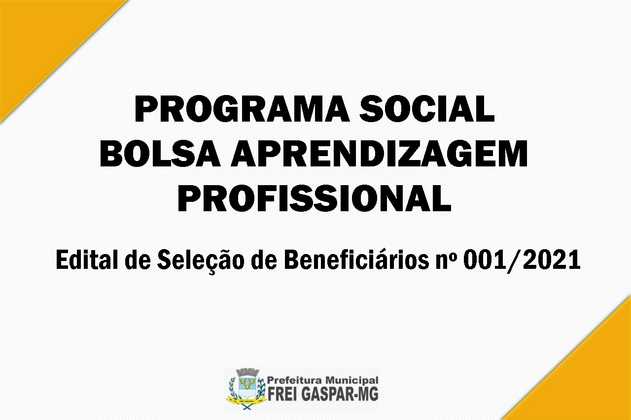 PROGRAMA SOCIAL BOLSA APRENDIZAGEM PROFISSIONAL