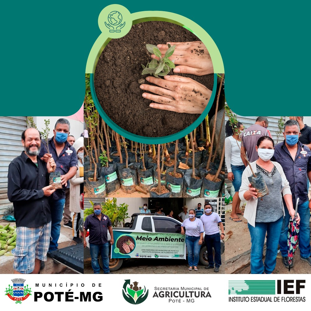 DIA MUNDIAL DO MEIO AMBIENTE - 2021 !