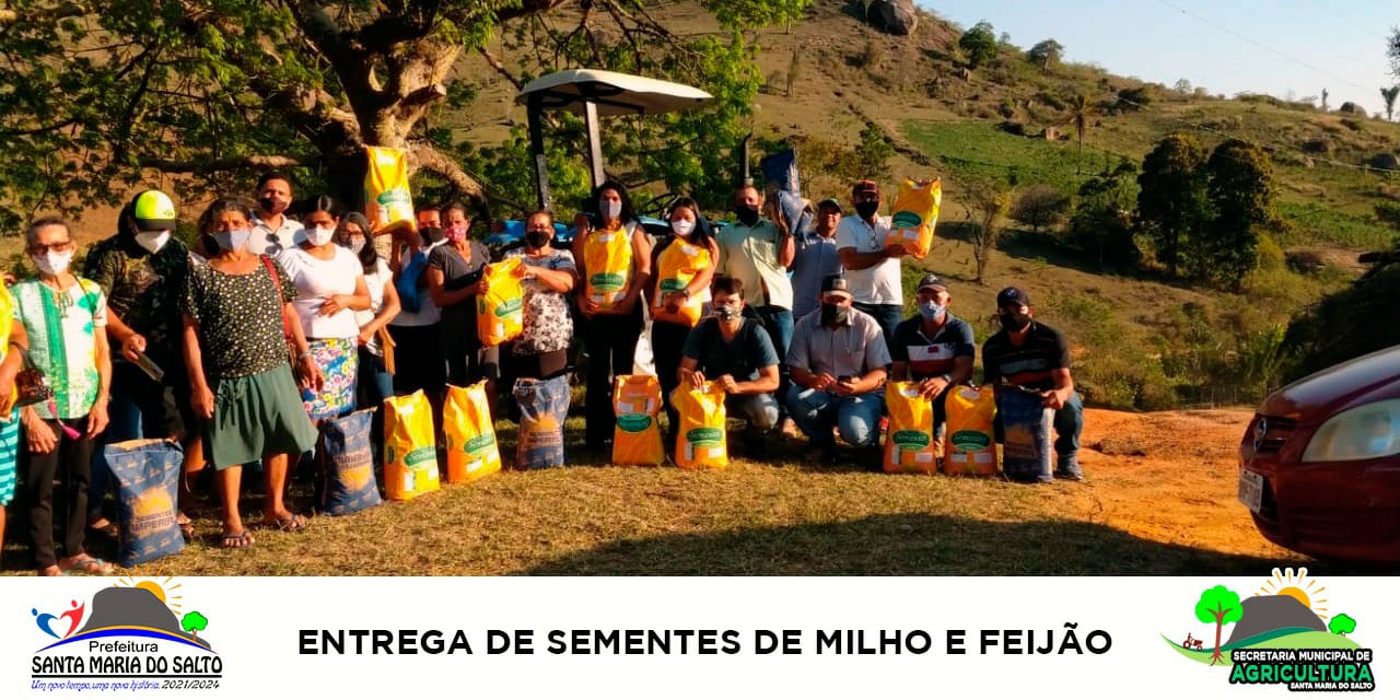 ENTREGA DE SEMENTES DE MILHO E FEIJÃO