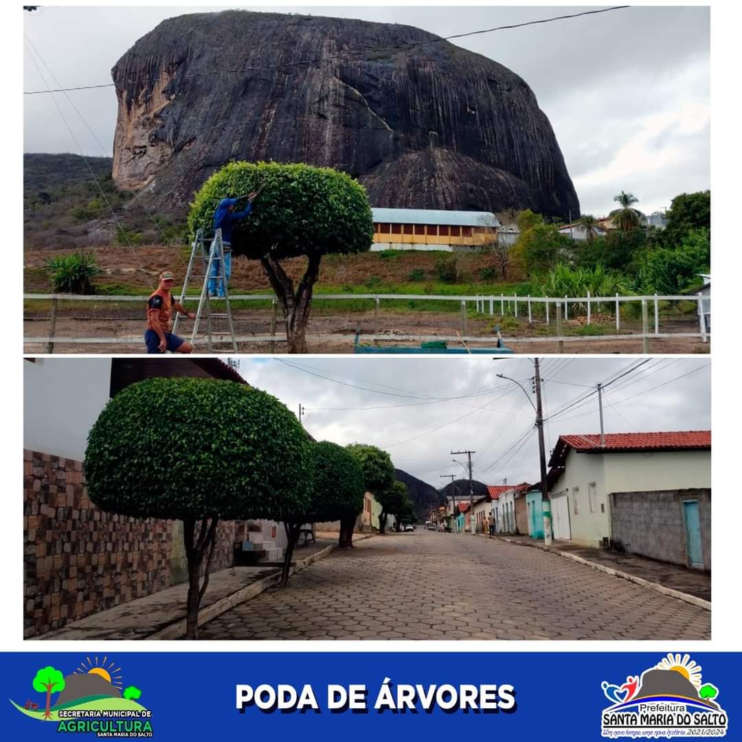 PODA DE ÁRVORES